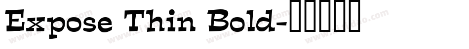 Expose Thin Bold字体转换